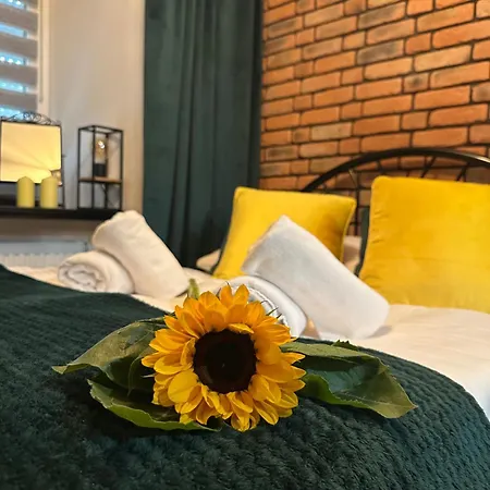 아파트 W Starym Obiektywie 코바리